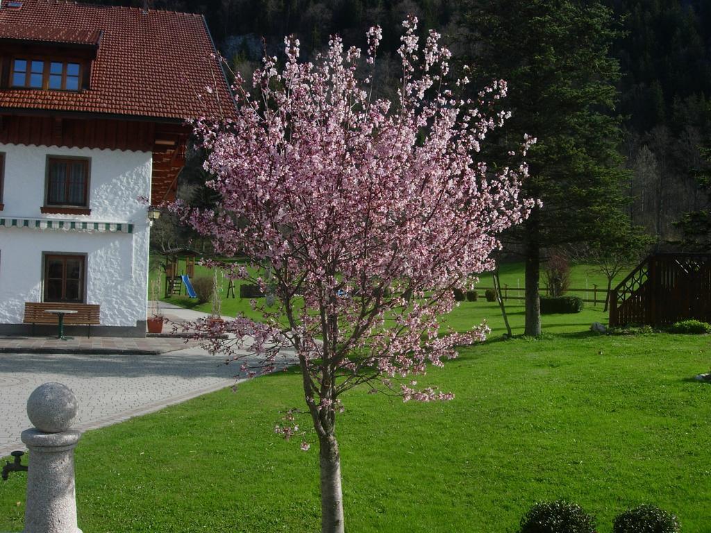 Schmiedbauernhof Villa Fuschl am See Exteriör bild